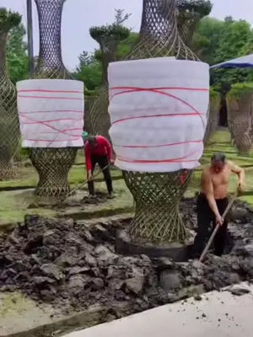 巨无霸紫薇造型树震撼登场，金牌苗木人诚信供应精品绿化苗木